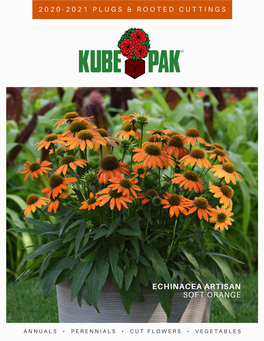 2020-2021-Kube-Pak-Plug-Catalog