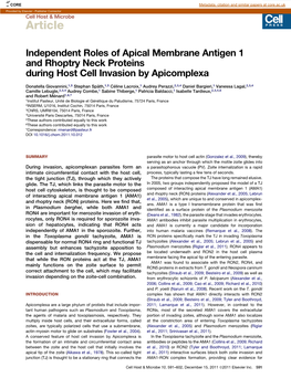 Independent Roles of Apical Membrane Antigen 1 and Rhoptry Neck Proteins During Host Cell Invasion by Apicomplexa