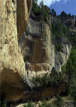 Coronn.Com "Mountain of Prades"