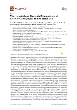 Mineralogical and Elemental Composition of Pectinatella Magnifica