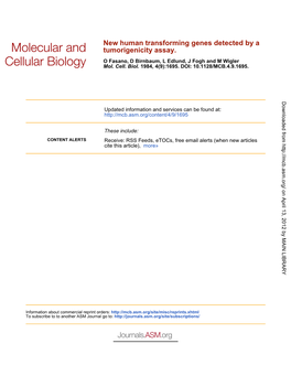 Tumorigenicity Assay. New Human Transforming Genes Detected by A