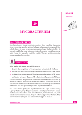 Lesson 20. Mycobacterium