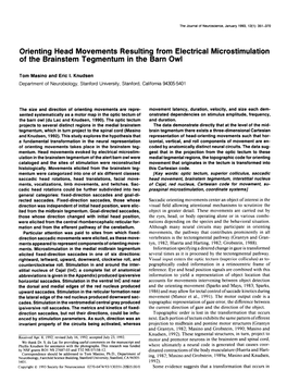 Orienting Head Movements Resulting from Electrical Microstimulation of the Brainstem Tegmentum in the Barn Owl