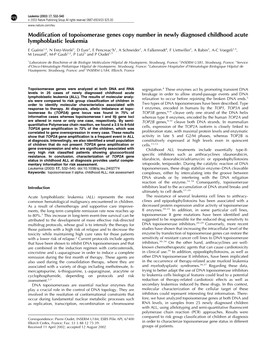 Modification of Topoisomerase Genes Copy Number in Newly Diagnosed