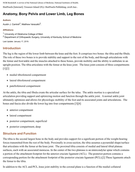 Anatomy, Bony Pelvis and Lower Limb, Leg Bones