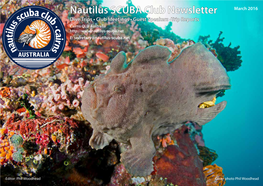 Diving the Wreck of the SS.Yongala