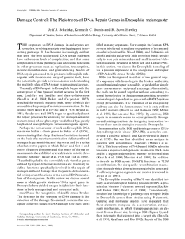 Damage Control: the Pleiotropy of DNA Repair Genes Indrosophila