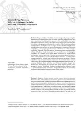 Reconsidering Paleozoic Differences Between the Jadar Block and the Drina–Ivanjica Unit