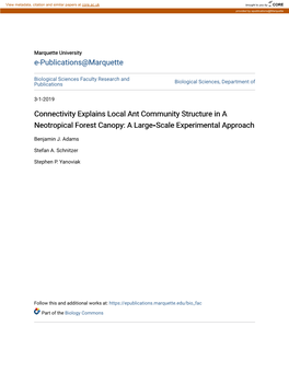 Connectivity Explains Local Ant Community Structure in a Neotropical Forest Canopy: a Large‐Scale Experimental Approach