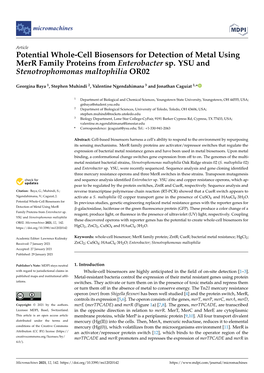 Potential Whole-Cell Biosensors for Detection of Metal Using Merr Family Proteins from Enterobacter Sp