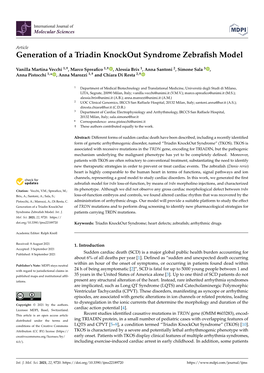 Generation of a Triadin Knockout Syndrome Zebrafish Model