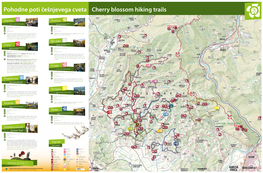 Dobrovo-Gradno-Vedrijan-Dobrovo Prv Čnc Pot 6 / Trail 6: Dobrovo-Kozlink-Jordano-Ceglo- Berjač-Medana-Dobrovo