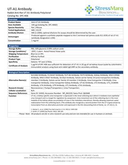 SPC-406 UT-A1 Polyclonal Antibody.Docx