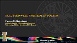 Targeted Weed Control in Potato