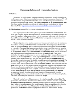 Mammalogy Laboratory 1 - Mammalian Anatomy