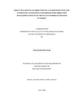 Impact of Large-Scale Irrigation on a Closed Basin