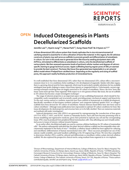 Induced Osteogenesis in Plants Decellularized Scaffolds