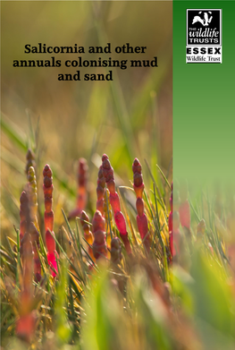 Salicornia and Other Annuals Colonising Mud and Sand