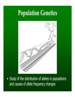 Population Genetics