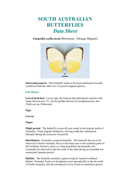 SOUTH AUSTRALIAN BUTTERFLIES Data Sheet