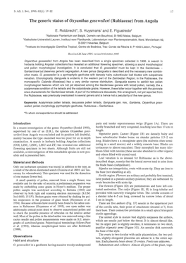 The Generic Status of Oxyanthus Gossweileri (Rubiaceae) from Angola