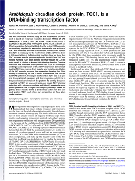 Arabidopsis Circadian Clock Protein, TOC1, Is a DNA-Binding Transcription Factor