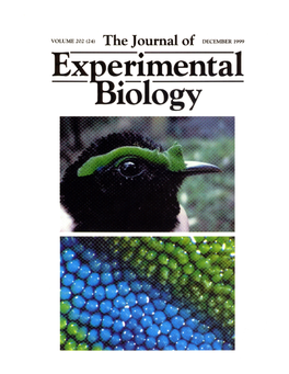 Colour-Producing Collagen Arrays in Birds 3509