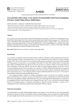 Traccatichthys Tuberculum, a New Species of Nemacheiline Loach from Guangdong Province, South China (Pisces: Balitoridae)