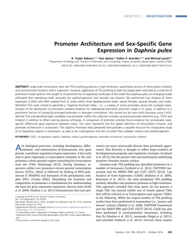 Promoter Architecture and Sex-Specific Gene Expression In