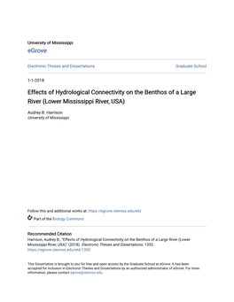 Effects of Hydrological Connectivity on the Benthos of a Large River (Lower Mississippi River, USA)