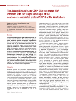 The Aspergillus Nidulans CENPE Kinesin Motor Kipa Interacts With