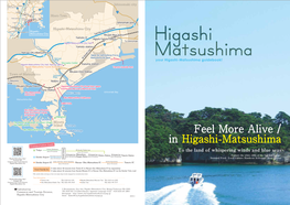 Feel More Alive / in Higashi-Matsushima