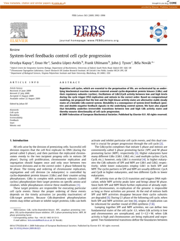 System-Level Feedbacks Control Cell Cycle Progression