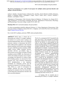 The K-Cl Co-Transporter 2 Is a Point of Convergence for Multiple Autism Spectrum Disorder and Epilepsy Risk Gene Products