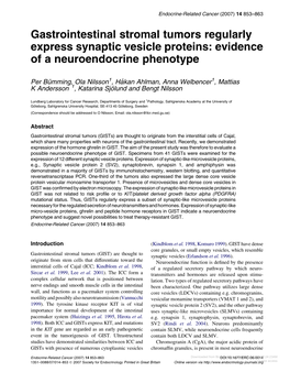 Gastrointestinal Stromal Tumors Regularly Express Synaptic Vesicle Proteins: Evidence of a Neuroendocrine Phenotype