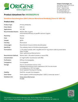 Ornithine Decarboxylase (ODC1) Mouse Monoclonal Antibody [Clone ID: ODC-22] Product Data