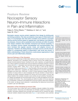 Nociceptor Sensory Neuron–Immune Interactions in Pain and Inflammation