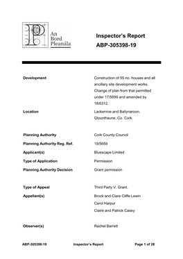 Inspector's Report ABP-305398-19