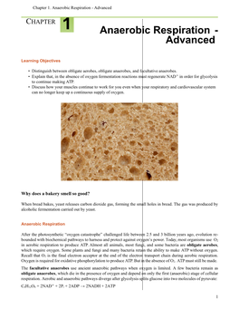 Anaerobic Respiration - Advanced