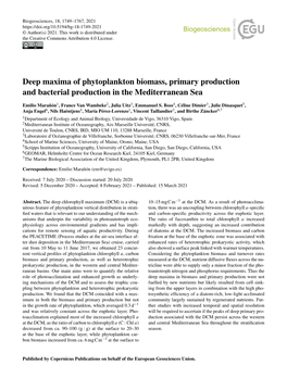Deep Maxima of Phytoplankton Biomass, Primary Production and Bacterial Production in the Mediterranean Sea