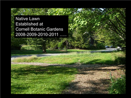 Native Lawn Established at Cornell Botanic Gardens 2008-2009-2010-2011 …