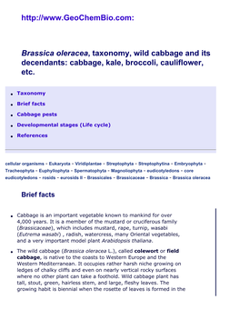 Brassica Oleracea, Cabbage, Cauliflower, Etc.: Taxonomy, Facts, Biology, Cabbage Pests, References at Geochembio