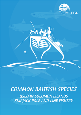 Common Baitfish Species Used in Solomon Islands Skipjack Pole-And