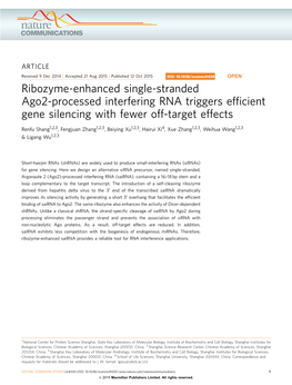 Ribozyme-Enhanced Single-Stranded Ago2-Processed Interfering RNA Triggers Efﬁcient Gene Silencing with Fewer Off-Target Effects