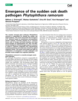 Emergence of the Sudden Oak Death Pathogen Phytophthora Ramorum