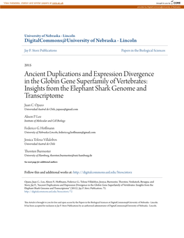 Ancient Duplications and Expression Divergence in the Globin Gene Superfamily of Vertebrates: Insights from the Elephant Shark Genome and Transcriptome Juan C