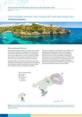 THE MARINE PROTECTED AREAS of the BALEARIC SEA Marilles Foundation