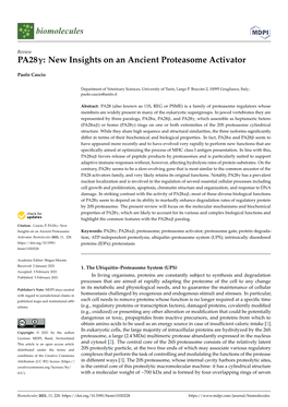 PA28: New Insights on an Ancient Proteasome Activator