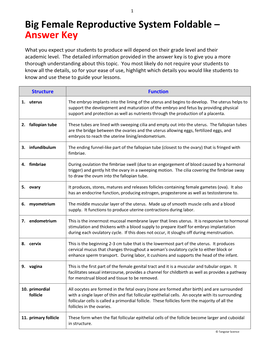 Big Female Reproductive System Foldable – Answer Key