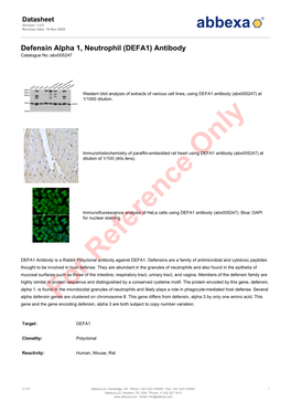 DEFA1) Antibody Catalogue No.:Abx005247